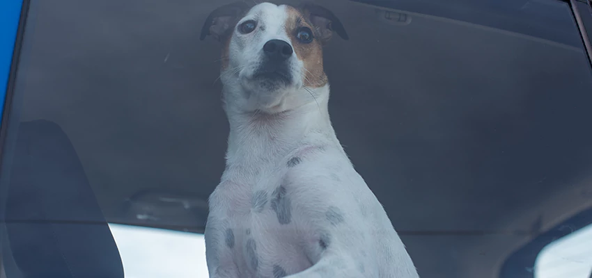 Car Lockout Solutions in Scotts Valley, California